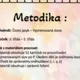 Koulovaná - Vyjmenovaná slova po P 2