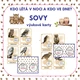 KDO LÉTÁ V NOCI A KDO VE DNE? DRAVCI A SOVY – výukové karty 2