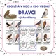 KDO LÉTÁ V NOCI A KDO VE DNE? DRAVCI A SOVY – výukové karty 3