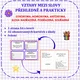 VZTAHY MEZI SLOVY PŘEHLEDNĚ A PRAKTICKY SYNONYMA, HOMONYMA, ANTONYMA, SLOVA NAD 2