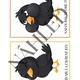 TAŽNÍ A STÁLÍ PTÁCI 4