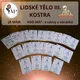 LIDSKÉ TĚLO III. Kostra - Já mám. Kdo má? 2