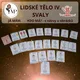 LIDSKÉ TĚLO IV. Svaly - Já mám. Kdo má? 2