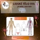 LIDSKÉ TĚLO VIII. Nervová, Oběhová a rozmnožovací soustava - Já mám. Kdo má? 2