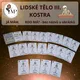 LIDSKÉ TĚLO III. Kostra - Já mám. Kdo má? 3