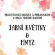 Jarní květiny a hmyz - prosvětlovací obrázky s přiřazovacími a hracími bingo kartami.  2