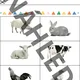 Hospodářská zvířata a jejich mláďata - prosvětlovací obrázky a hrací bingo karty 4