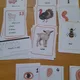 JARNÍ MIX (3 v 1): Spring + Farm Animals + My Body 3