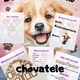 Deníček malého chovatele 5