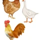 balíček VELIKONOCE 🐣 4