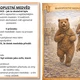 MASOPUST - TRADICE - MASKY 4