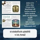 STARÝ ZÁKON: Biblické příběhy očima postav - stanoviště 2