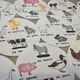 Postřehová hra - Animales de granja 3