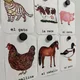 Demonstrační karty - Animales de granja 5