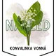 JARNÍ KVĚTINY - girlanda/demonstrační karty 4