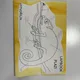 Plazi - lapbook 4