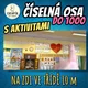 Číselná osa do 1000 s aktivitami - tři velikosti 4