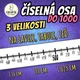 Číselná osa do 1000 - tři velikosti 5