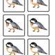Geometrické tvary s ptáčky 🐦 7