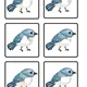 Geometrické tvary s ptáčky 🐦 6