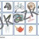 Slova mnohoznačná a homonyma — 7 barevných sad, PEXESO 5