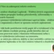 Lapbook - třídění živých organismů 4
