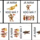 Já mám, kdo má? Masopust 5