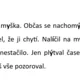DIKTÁTY – VYJMENOVANÁ A PŘÍBUZNÁ SLOVA - B, L, M 2