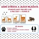 LESNÍ ZVÍŘATA A JEJICH MLÁĎATA 2