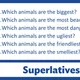 At the Zoo (A2-B1 Konverzace - SpeakUp 02) 5