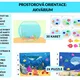 Prostorová orientace: Akvárium 2