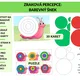 Zraková percepce: Barevný šnek 2