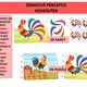 Zraková percepce: Kohoutek 2