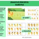 Zraková percepce: Kuřátka 2