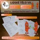 Lidské tělo VII. - nervová s., oběhová s. a rozmnožovací soustava muže a ženy 5