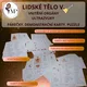 Lidské tělo V. - vnitřní orgány 2