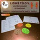 Lidské tělo V. - vnitřní orgány 5