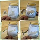 MALÍ PRŮZKUMNÍCI PŘÍRODY (kolíčkování, prosvětlování) 4