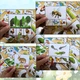 MALÍ PRŮZKUMNÍCI PŘÍRODY (kolíčkování, prosvětlování) 5