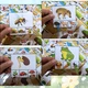 MALÍ PRŮZKUMNÍCI PŘÍRODY (kolíčkování, prosvětlování) 6
