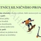 Bezpečnost silničního provozu 2