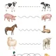 DOMÁCÍ ZVÍŘATA na jaře🐄 5