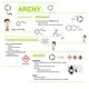 Areny 2