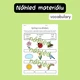 Jaro v angličtině – hravé pracovní listy, aktivity, flashcards 3