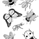 HMYZ na jaře 🦋 4
