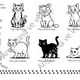 My book about CATS 5