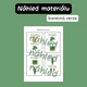 Den sv. Patrika - Já mám, kdo má? 4