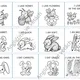 My Little Animal Book 5
