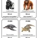 Já mám, kdo má - Ohrožené druhy zvířat 2