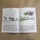 Znaky jara - QR kódové knížka/čtení s porozuměním 5